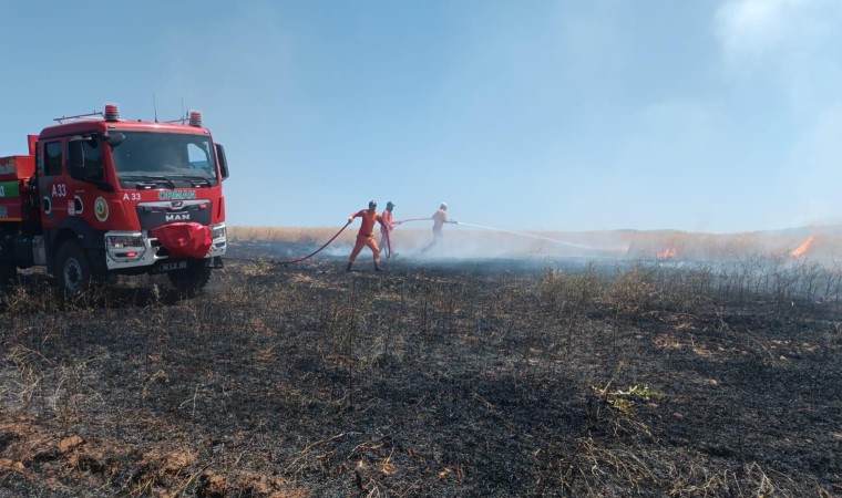 Bingölde yaklaşık 100 dönümlük tarım alanı yandı