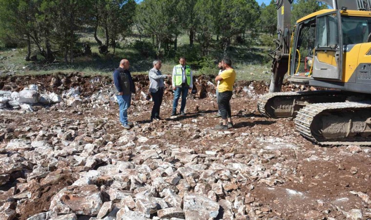 Bölge Müdürü Erdal Dingil, Domaniç ve Altıntaşta incelemelerde bulundu