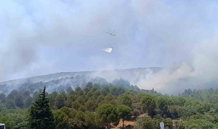 Bornovadaki orman yangını kontrol altına alındı