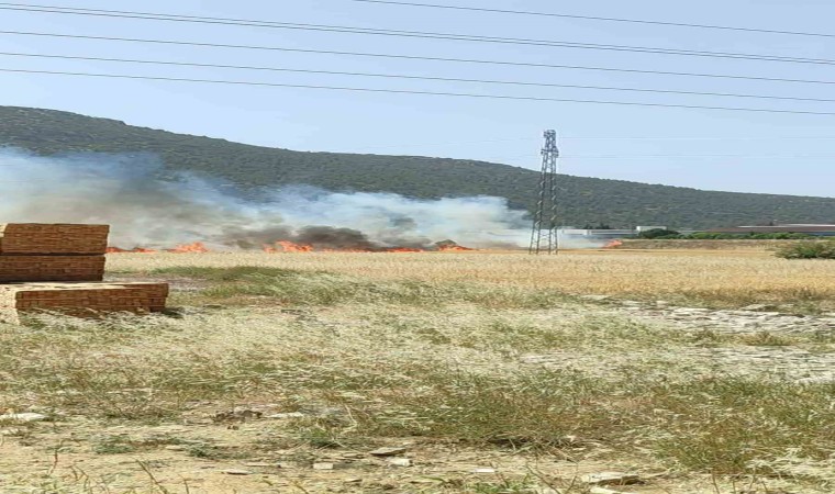 Burdurda çıkan arazi yangınında yaklaşık 25 dekar alan yandı