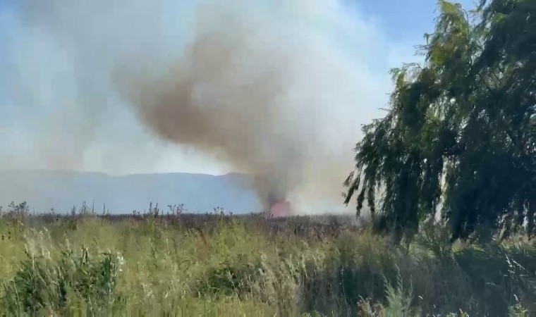 Bursada farklı noktalardan anız yangınları