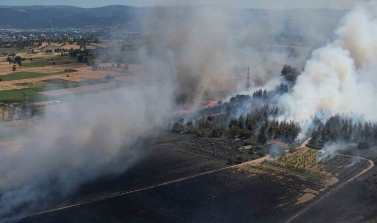 Bursadaki yangın ormana sıçradı