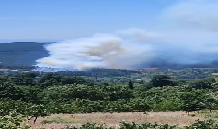 Bursanın dağ ilçesinde orman yangını