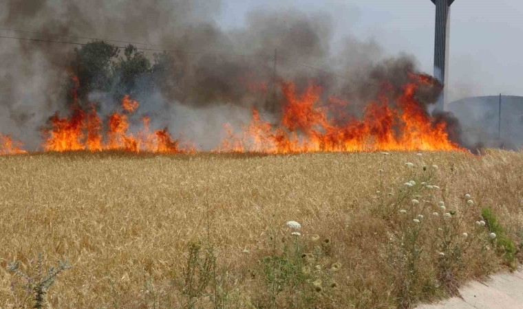 Çanakkale Valiliğinden hava sıcaklığı ve orman yangını uyarısı