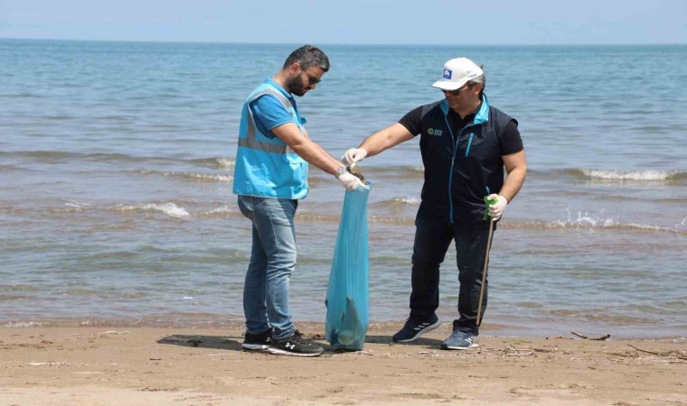 Çevre Haftası Kocaelide dolu dolu kutlanacak