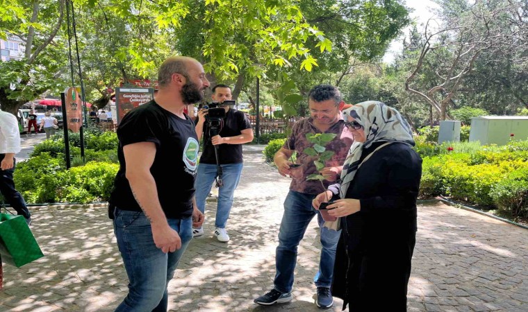 Çiçek Doktoru Arslan, Babalar Günü sebebiyle vatandaşlara aronya fidanı dağıttı