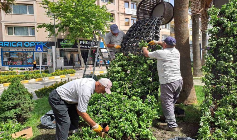 Darıcada Kurban Bayramı öncesi hummalı çalışma sürüyor