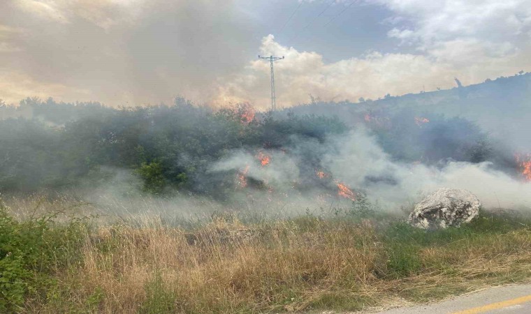 Denizlide 1 günde 10 orman yangını çıktı