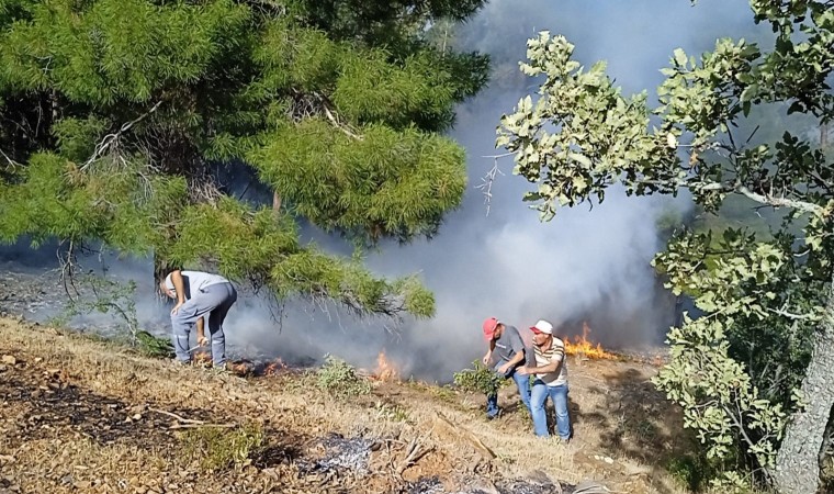 Denizlide orman yangını