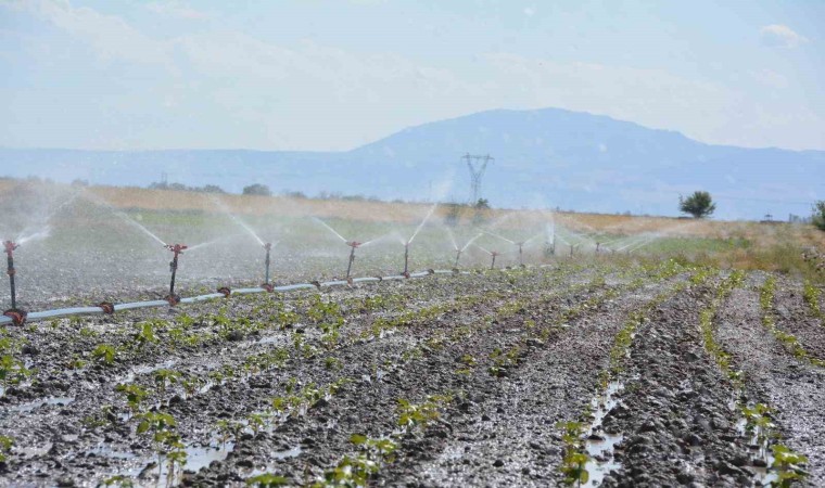 Denizlide tarımsal sulama ile ülke ekonomisine 10 milyar TL katkı sağlanacak