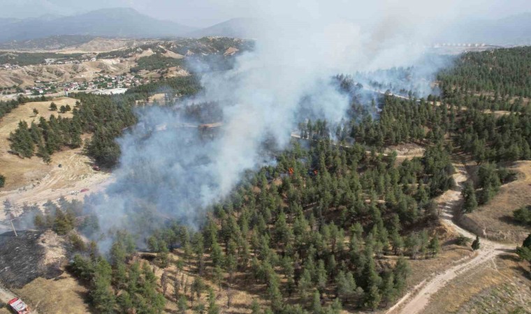 Denizlide yerleşim yerlerine yakın bölgede orman yangını çıktı