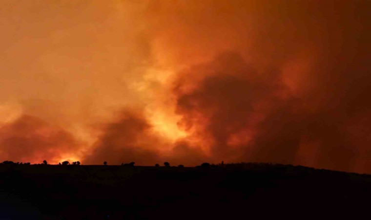 Diyarbakırda anız yangını: 3 ölü, 9 yaralı