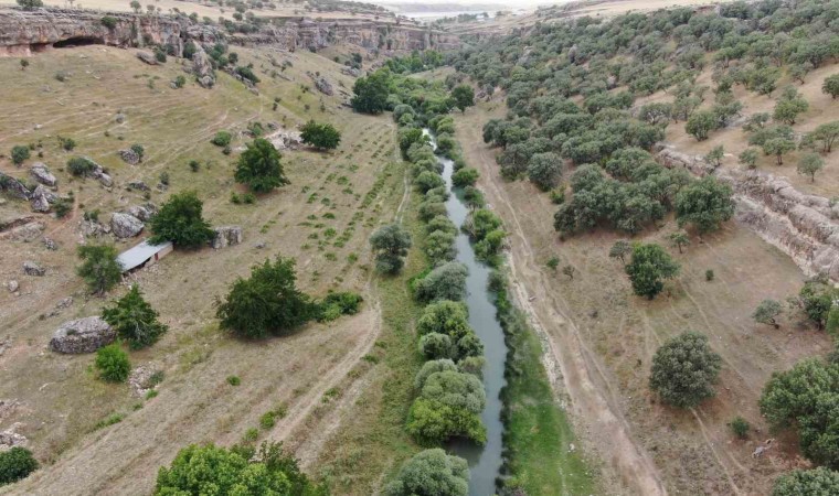 Diyarbakırda sıcaktan bunalan vatandaşlar sulak ve serin yerleri tercih ediyor