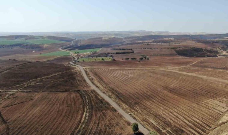 Diyarbakırda yangında zarar gören alanlar havadan görüntülendi