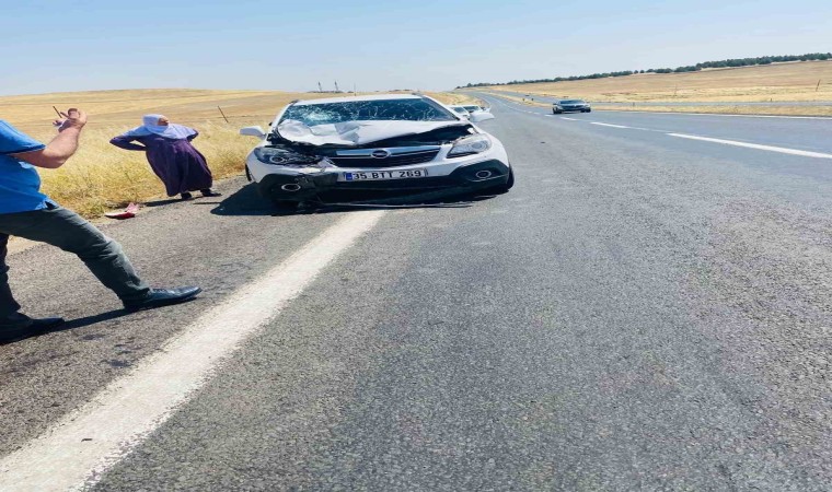 Diyarbakırda yol kenarında oturan 2 kişiye otomobil çarptı