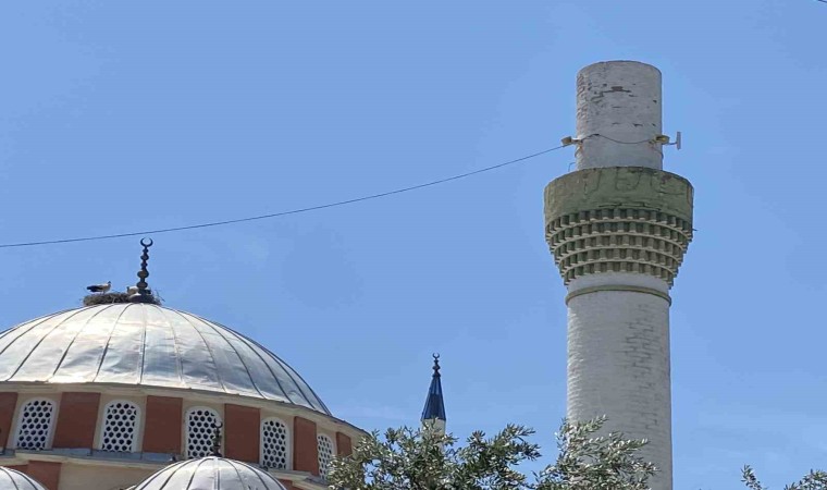 Dolu yağışından kurtulan leylekler mahallelinin tesellisi oldu