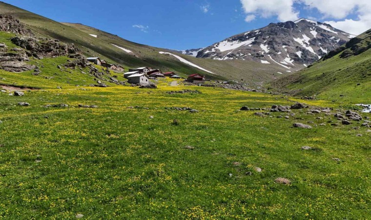 Dulağa Yaylasının Alpleri aratmayan güzelliği