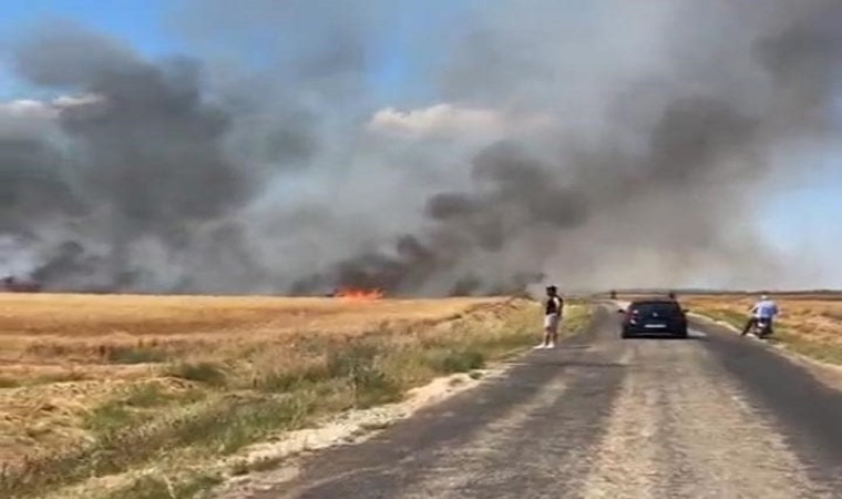 Edirnedeki yangında 20 bin dönümlük alanda 38 ton buğday kül oldu