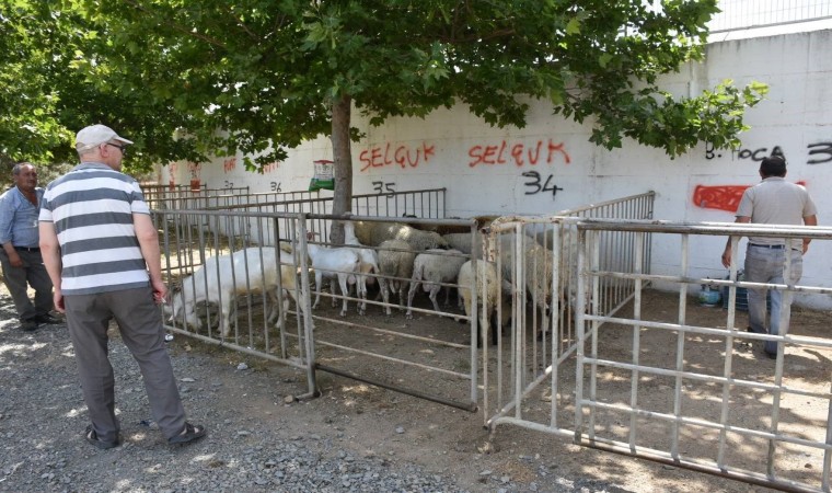 Edremit Kurban Bayramına hazır