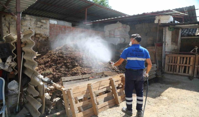 Efelerde ilaçlama çalışmaları hızla sürüyor