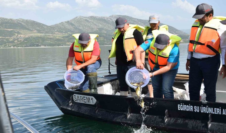 Eğirdir Gölüne 5 bin sazan balığı bırakıldı