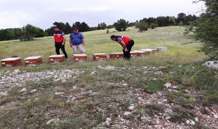 Emette ayılar tarafından kovanları parçalanan yetiştiriciye arkadaşlarından destek