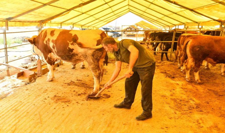 Esenyurt Belediyesi tarafından hayvansal atıklardan organik gübre elde ediliyor