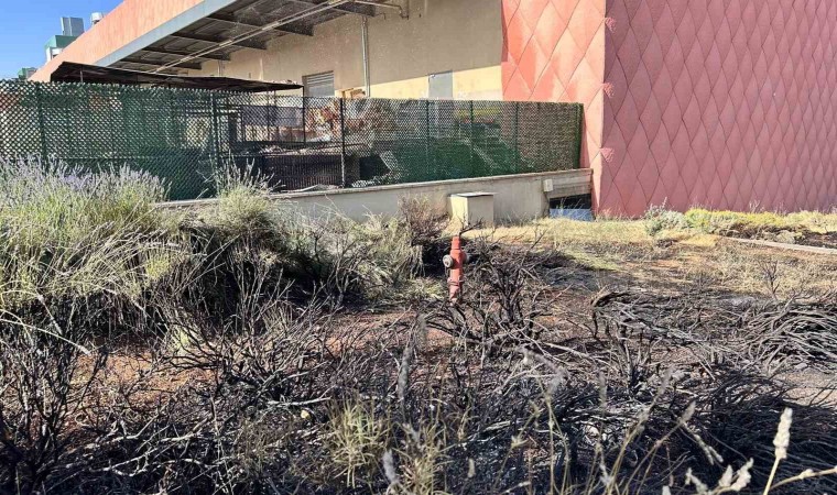 Gaziantep Primemall AVMde korkutan yangın