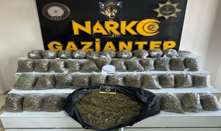 Gaziantepte 56 kilo esrar ele geçirildi