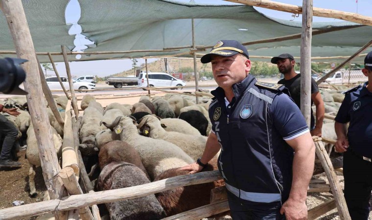 Gaziantepte Kurban Bayramı öncesi sıkı denetimler sürüyor