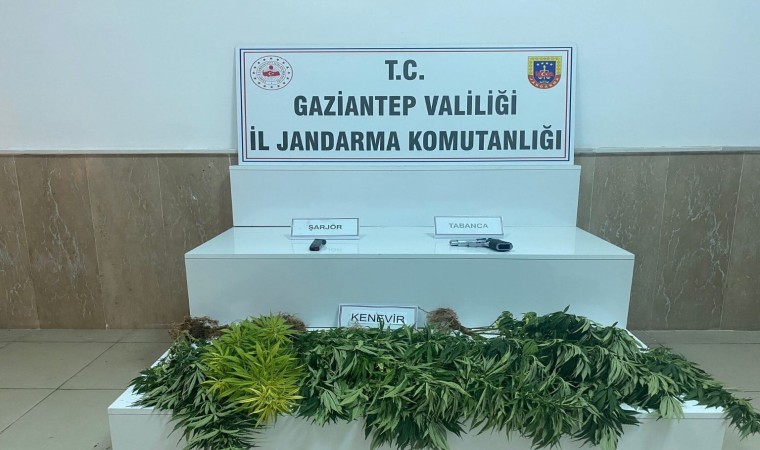 Gaziantepte uyuşturucu operasyonu: 4 gözaltı