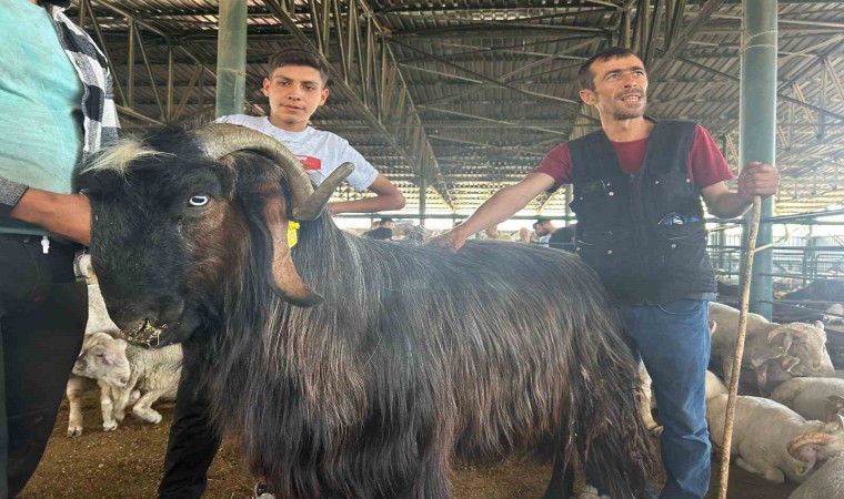 Haber olan ‘Karaoğlan yurt dışına satıldı