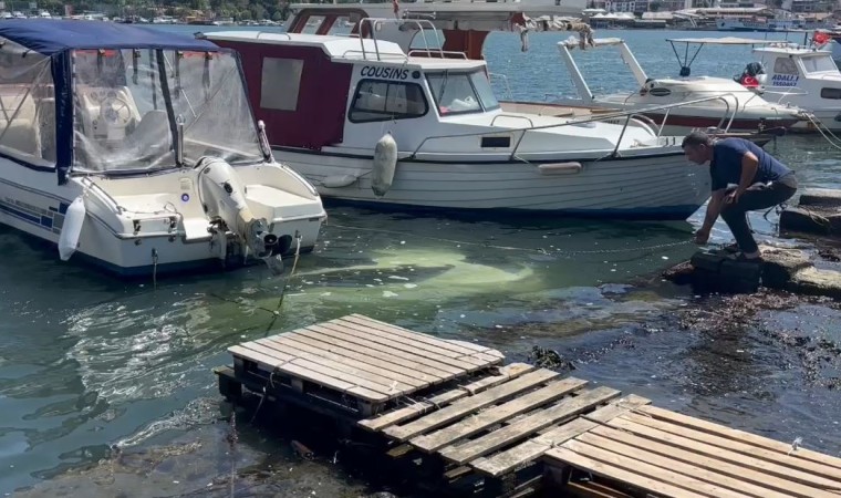 Haliç Sahilinde sürücüsünün yol kenarına park ettiği otomobil denize düştü: Sürücü son anda kurtuldu