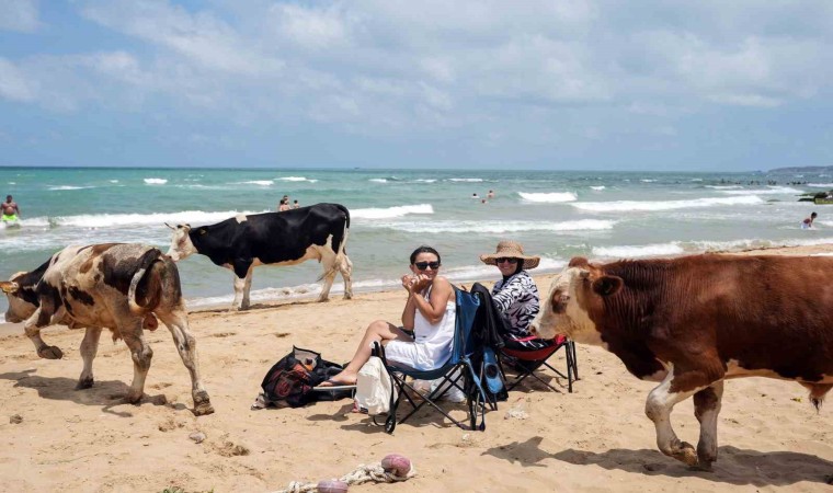 Halk plajları doldu, beachlerde şezlonglar boş kaldı