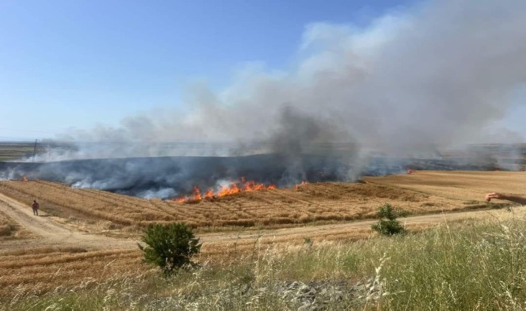 İpsalada bir gün arayla 130 dönüm buğday ile 250 ot balyası yandı