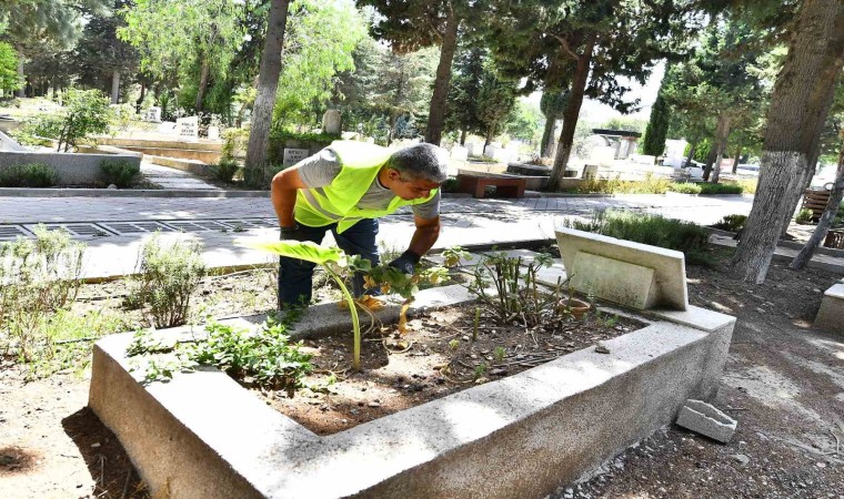 İzmirde bayram öncesi mezarlıklar için özel bakım