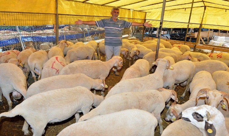 İzmirde Kurban Bayramı için bağış kampanyası başladı