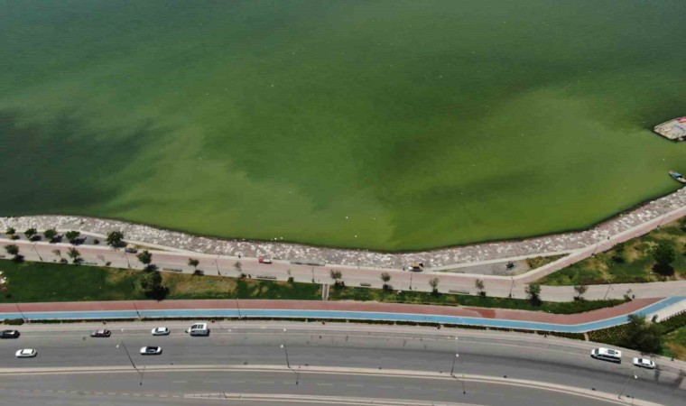 İzmirin iki ilçesinde denizin rengi değişti, kötü koku yayıldı