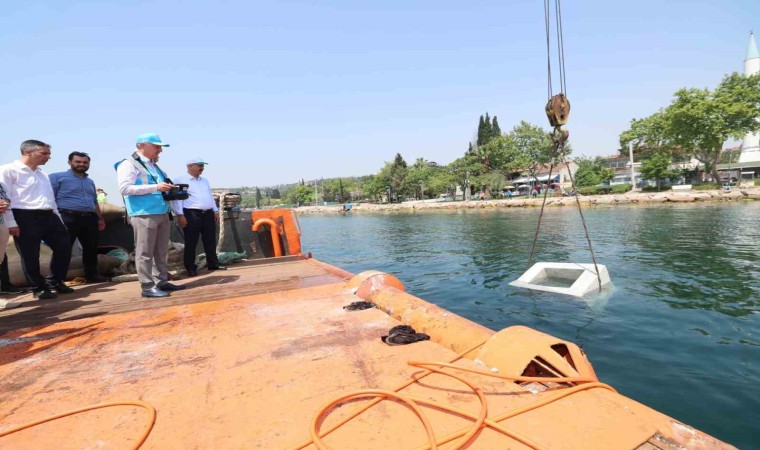 İzmit Körfezinde balıkçılığı desteklemek için önemli proje