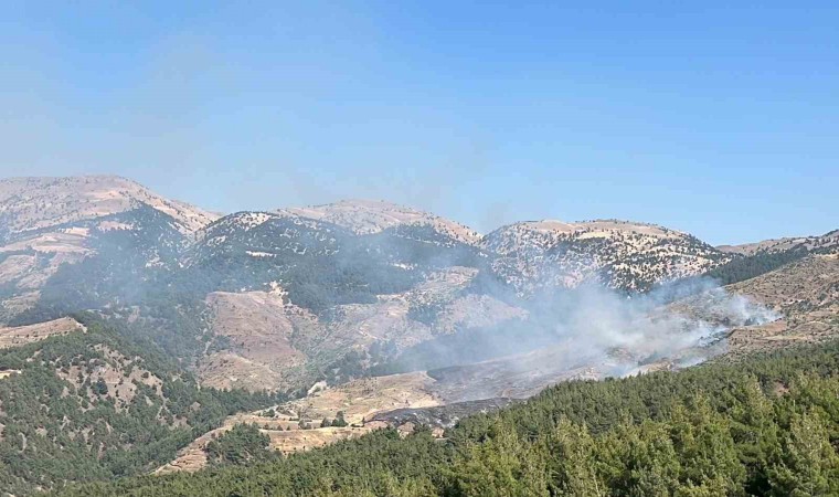 Kahramanmaraşta orman yangını: Ekipler müdahale ediyor