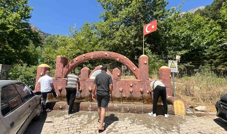 Kahramanmaraştaki ‘ardıç suyu mesire alanı piknikçilerin uğrak yeri oldu