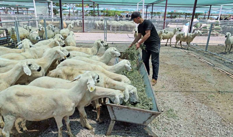 “Kayseride bir numara Talas Belediyesi”