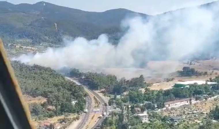 Kemalpaşada orman yangını