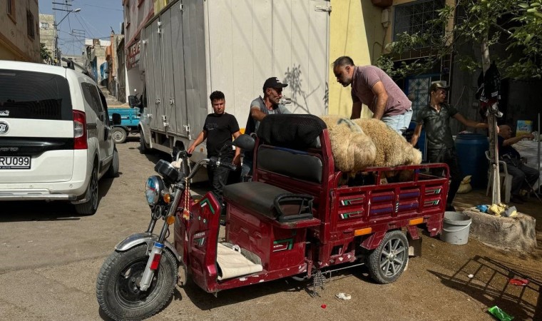 Kiliste kurbanlıklar sepetli motosikletlerle taşındı