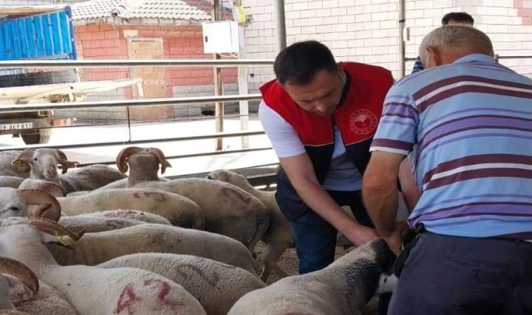 Kırklarelinde kurbanlık hayvan satış yerleri denetlendi