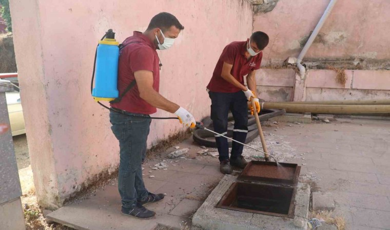 Koçarlı Belediyesi, haşereyle mücadele çalışmalarını sürdürüyor