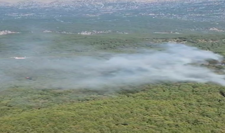 Köprülü Kanyon Milli Parkında yangına müdahale ediliyor