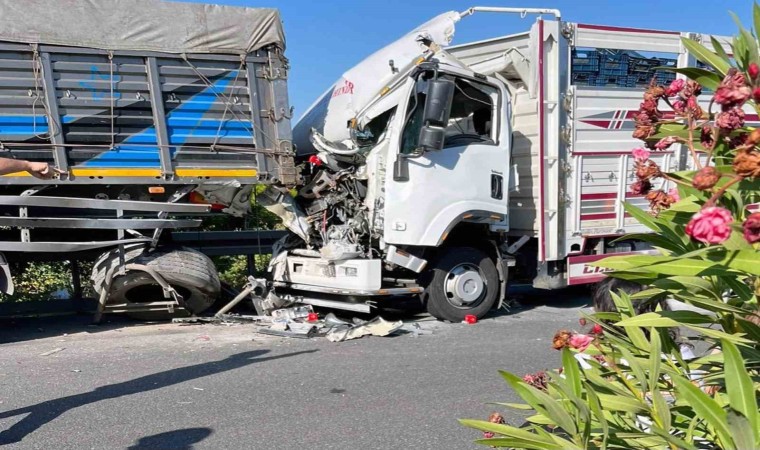 Köyceğizde feci kaza: 2 ölü