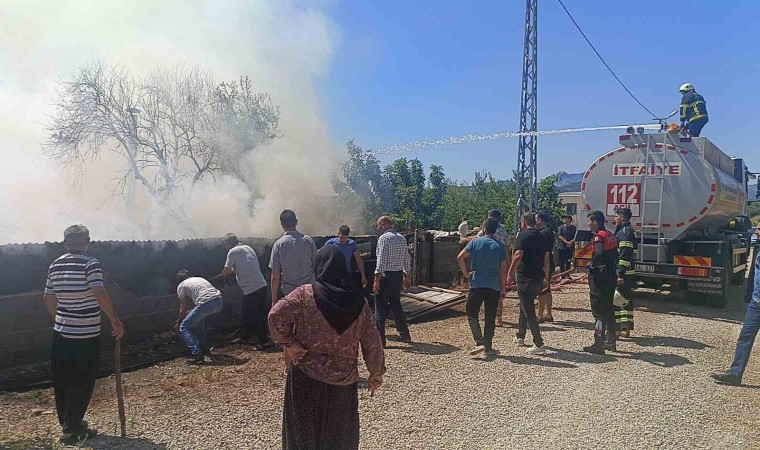 Kozanda çıkan yangında 1 kişi hastaneye kaldırıldı, 20 küçükbaş hayvan son anda kurtuldu