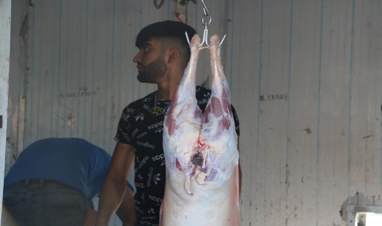 Kurban Bayramında ‘acemi kasaplara uyarı